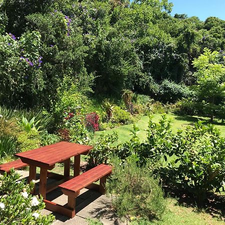 Loeriewood Garden Apartment, Hunters Home Knysna Exteriér fotografie